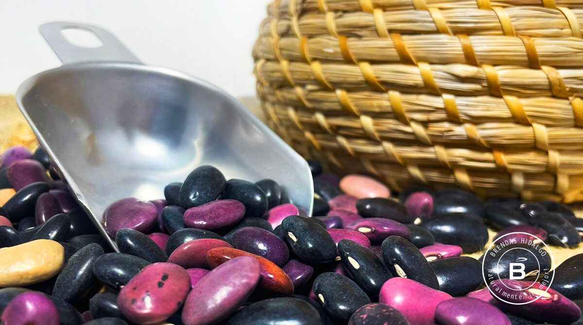 Black Ayocote Bean