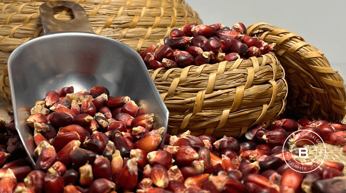 Red corn