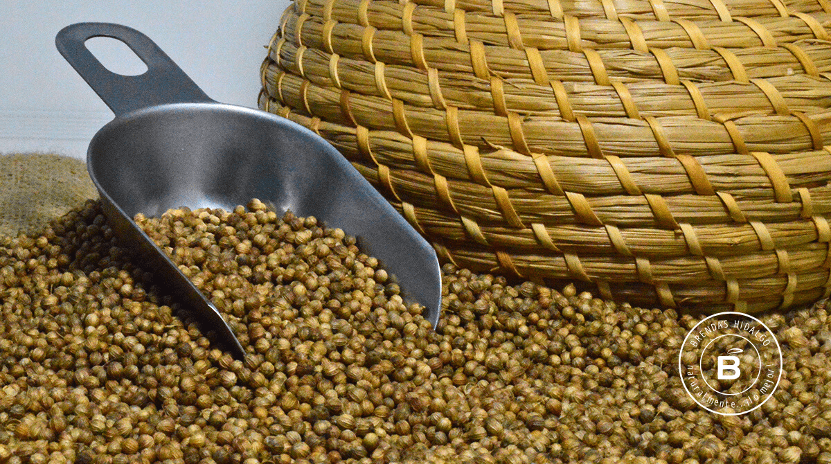 Coriander seed