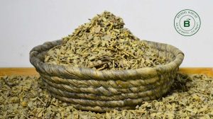 Oreja De Ratón - Brendas Hidalgo